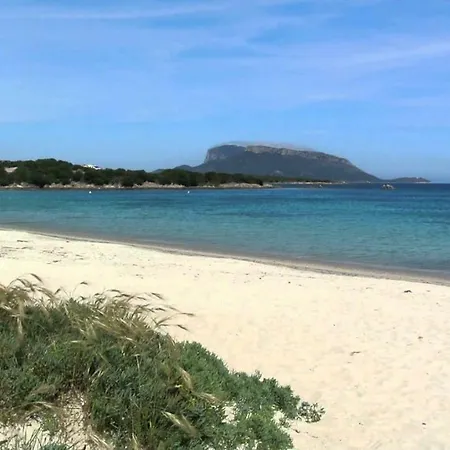 Taverna Indipendente In *